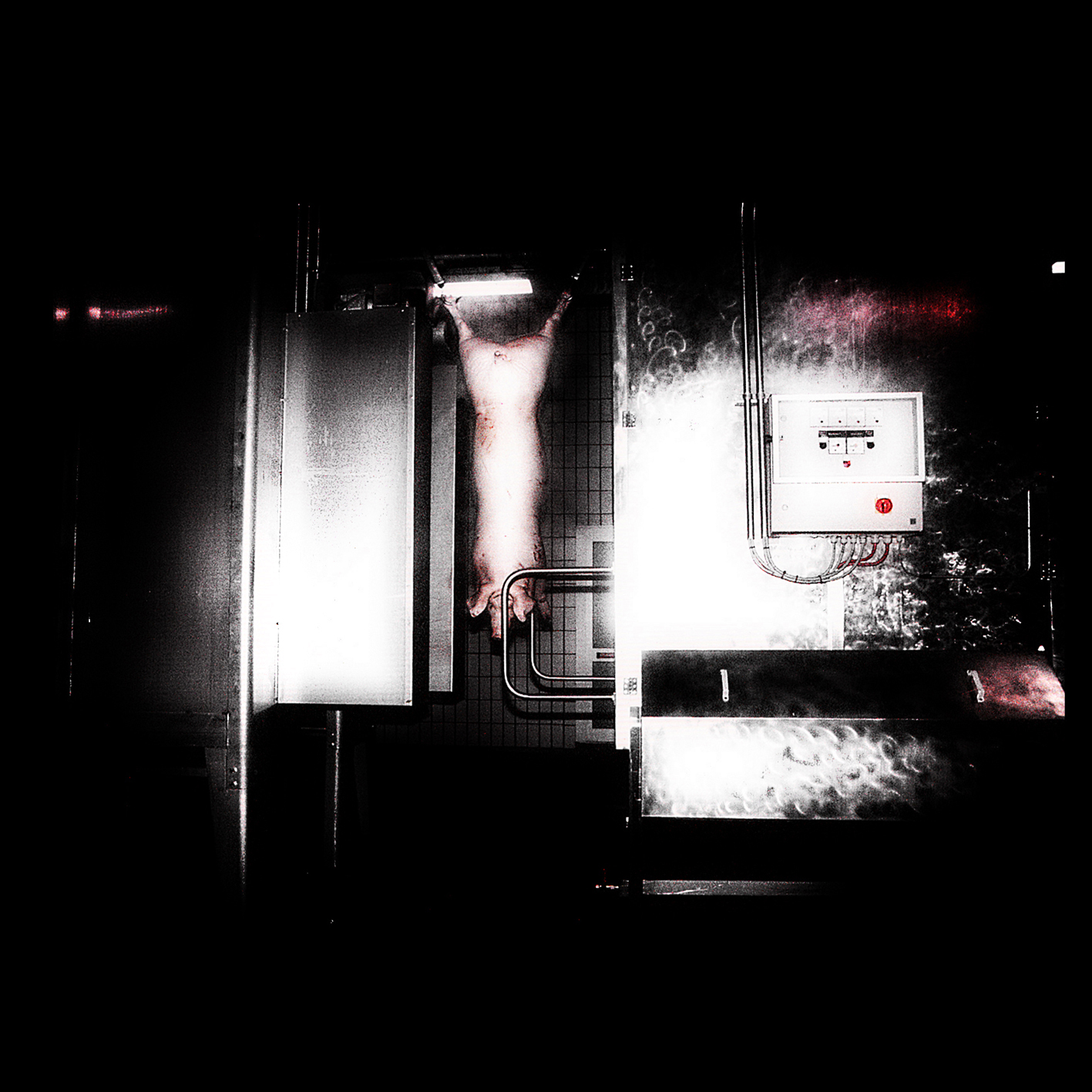 Photo abattoir 2